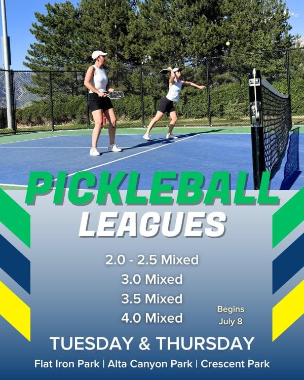 Pickleball Leagues