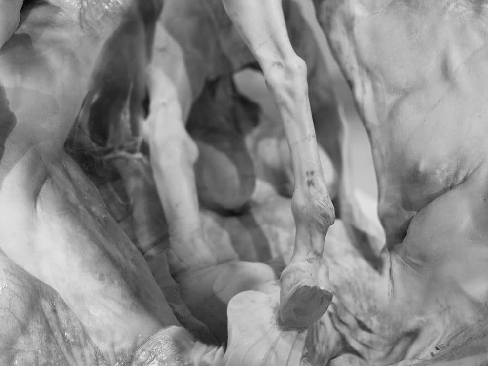 Josh Winegar: Future Monuments