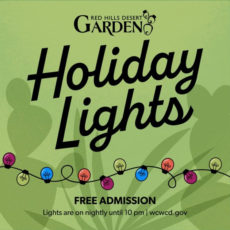2025 Holiday Lights at Red Hills Desert Garden