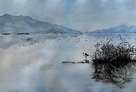 salt and silence, by Shanel Day