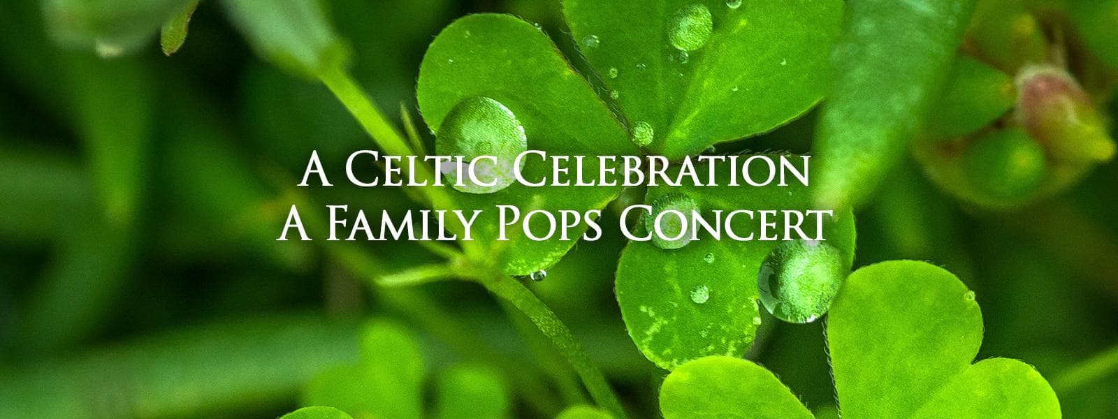 Image for event: A Celtic Celebration with Special Guests Alex Sharpe and Máiréad