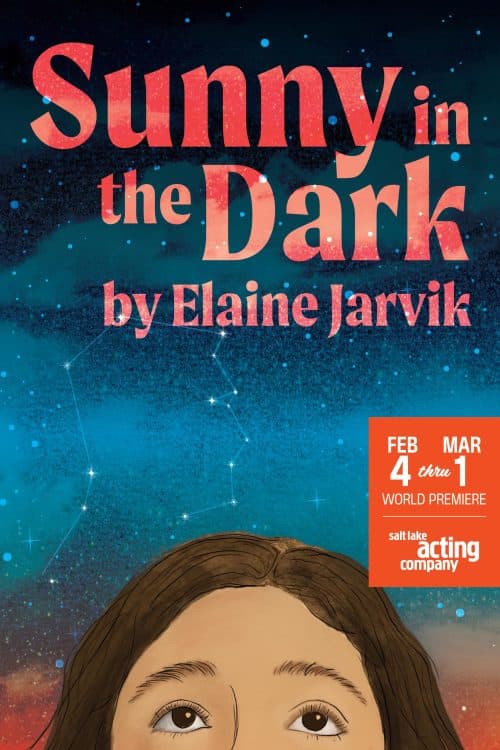 Sunny in the Dark by Elaine Jarvik
