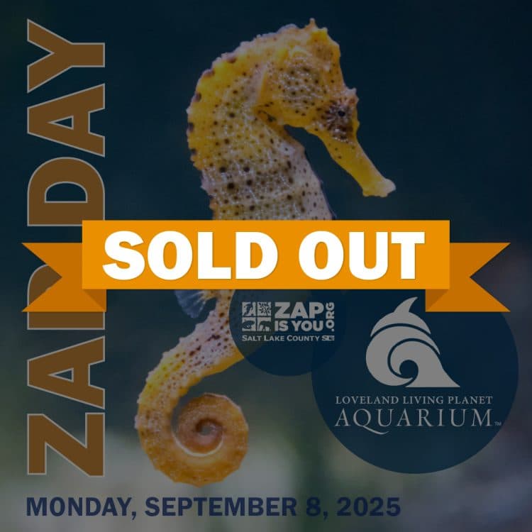 ZAP Day at Loveland Living Planet Aquarium