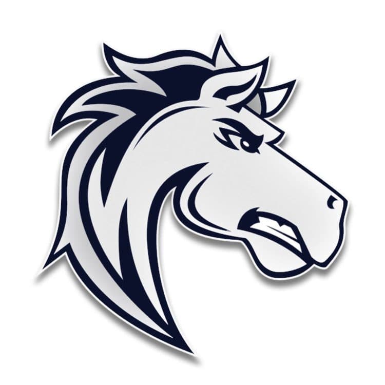 Ogden Mustangs vs. Grand Junction River Hawks