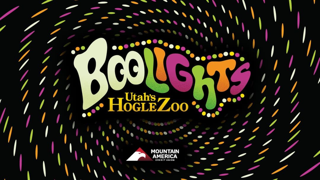 BooLights at Hogle Zoo
