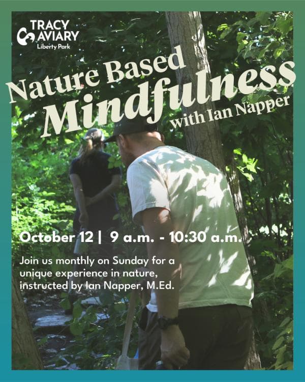Nature Based Mindfulness with Ian Napper