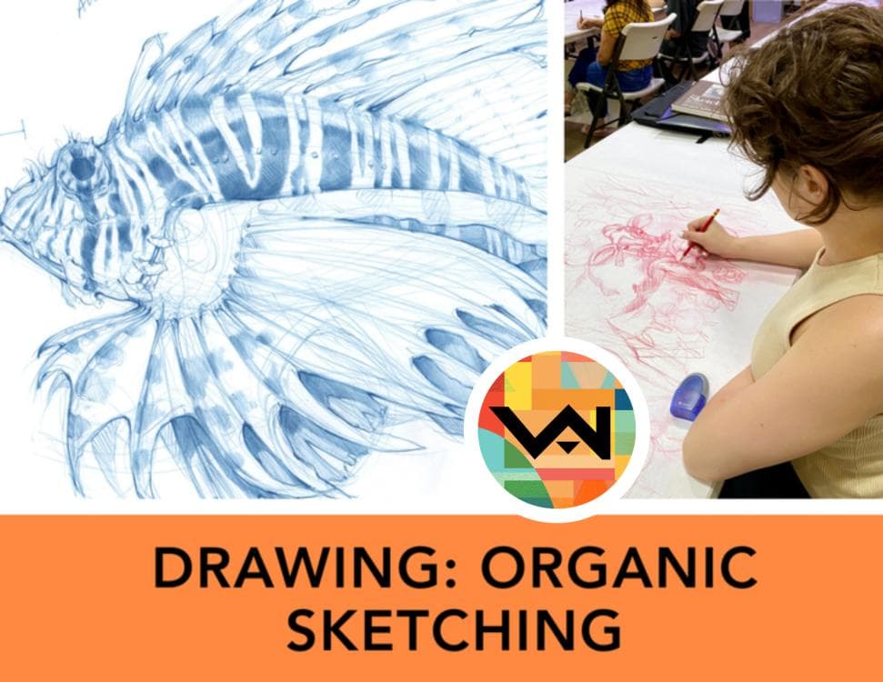 Drawing: Organic Sketching