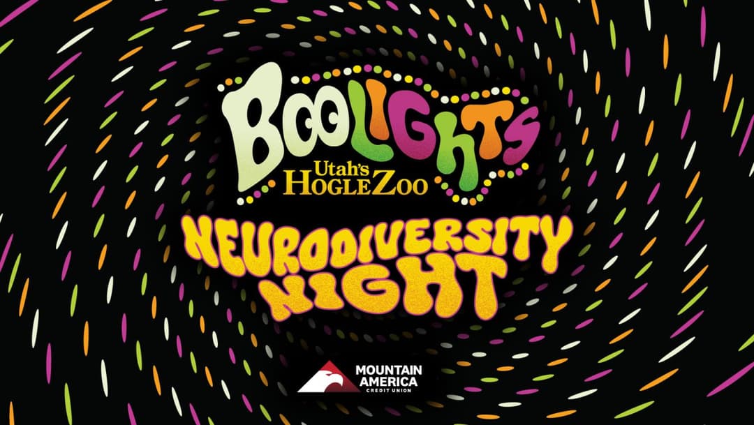 BooLights Neurodiversity Night