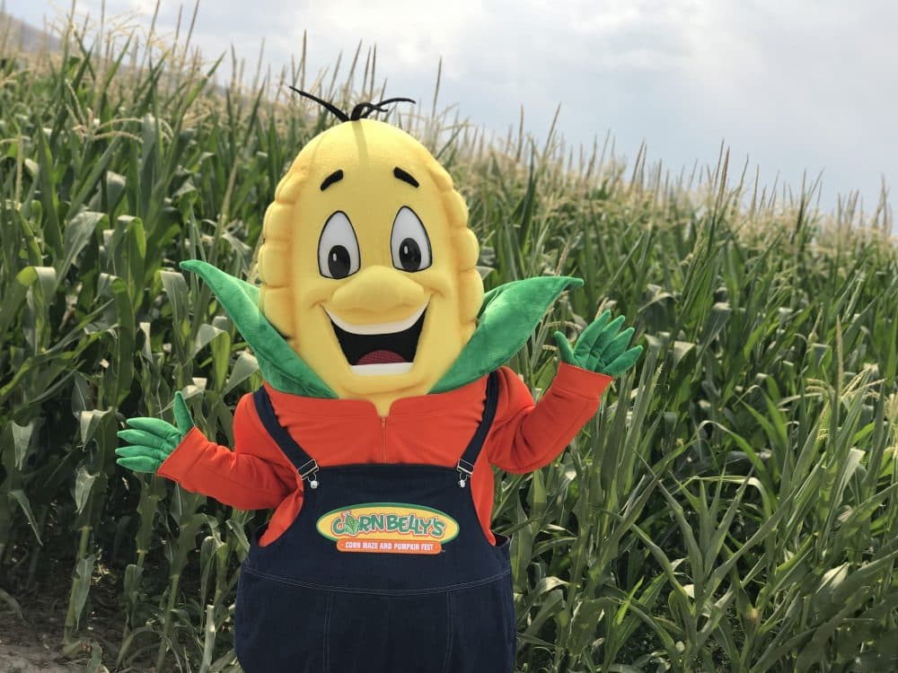 Cornbelly's Corn Maze & Pumpkin Fest 2025