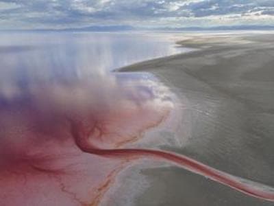 Preserving Greatness, by Chris Carlson