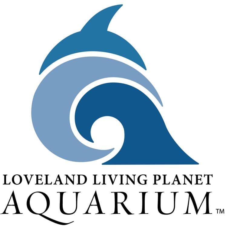 TRICK OR TREASURE NIGHT