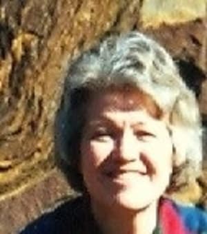 Native American Interpret Petroglyphs