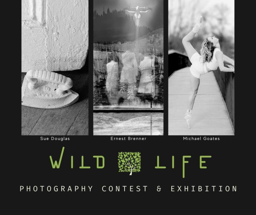 Image for event: Wild Life Photography Exhibition
