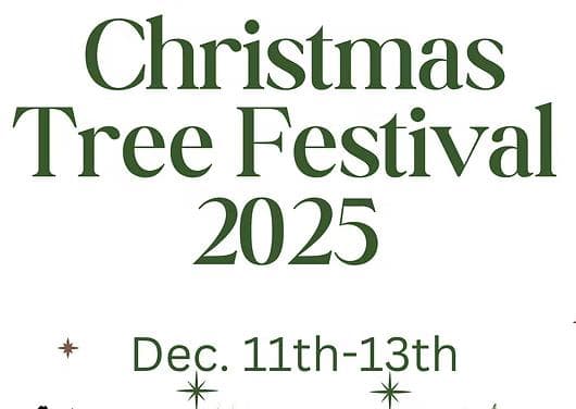 Image for event: Hurricane Christmas Tree Festival 2025