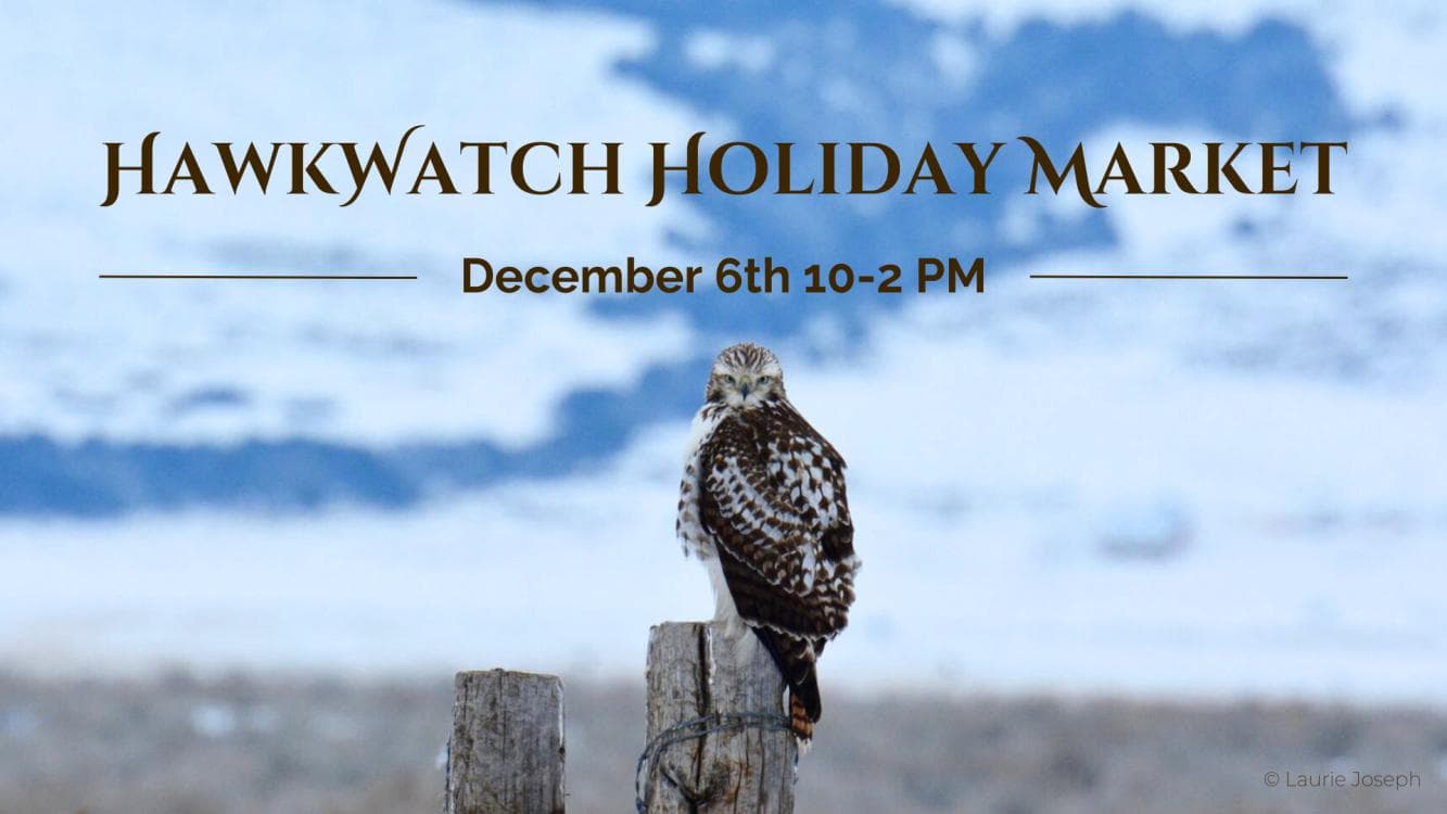 Image for event: HawkWatch Holiday Market 2025