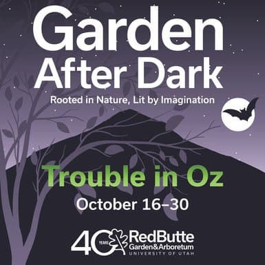 2025 Garden After Dark: Trouble in Oz