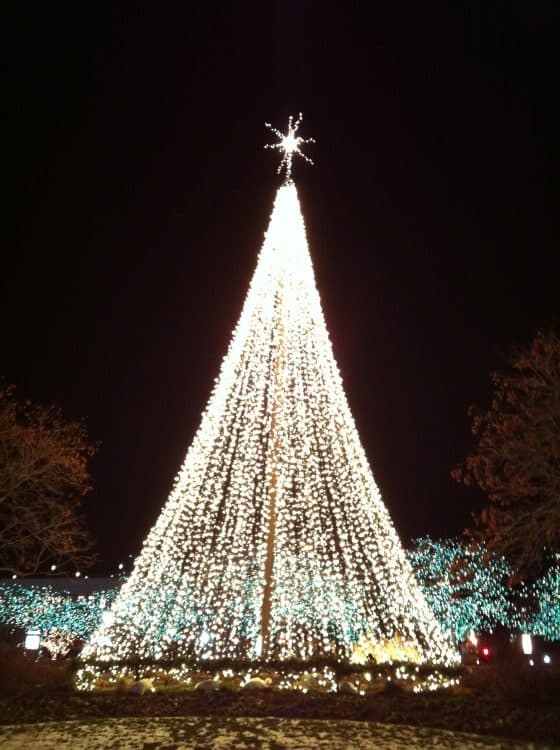 Image for event: Temple Square Christmas Lights 2025