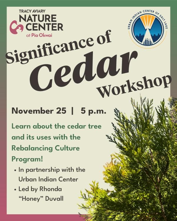 Significance of Cedar Workshop
