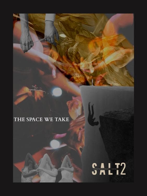 Image for event: The Space We Take (SALT2)