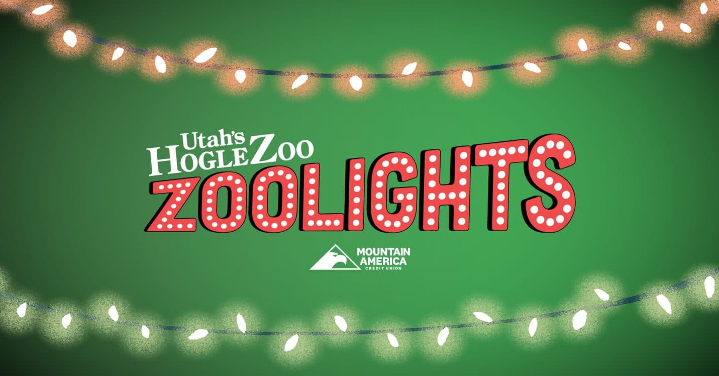 Image for event: 2025 ZooLights at Utah's Hogle Zoo