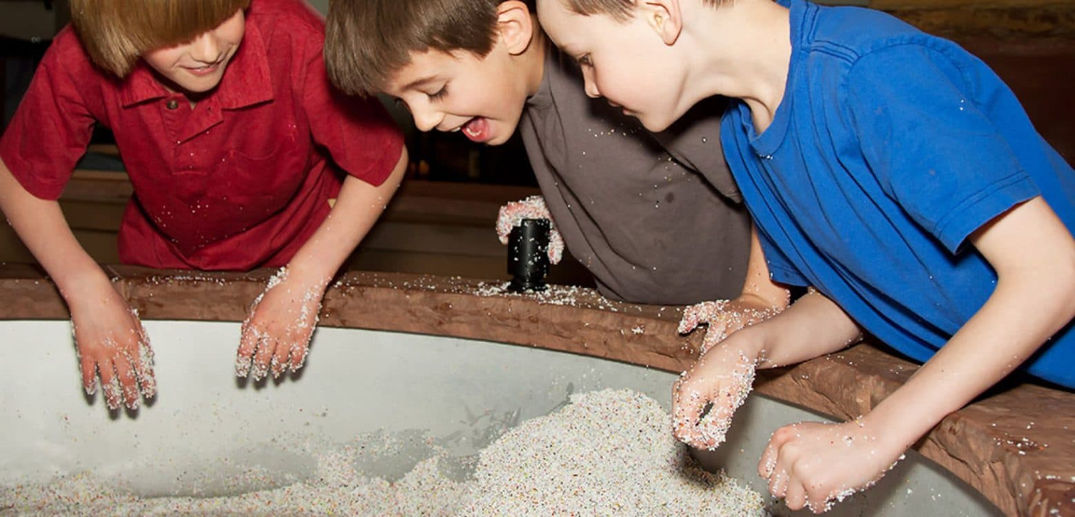 Image for event: Family Late Night at the Museum