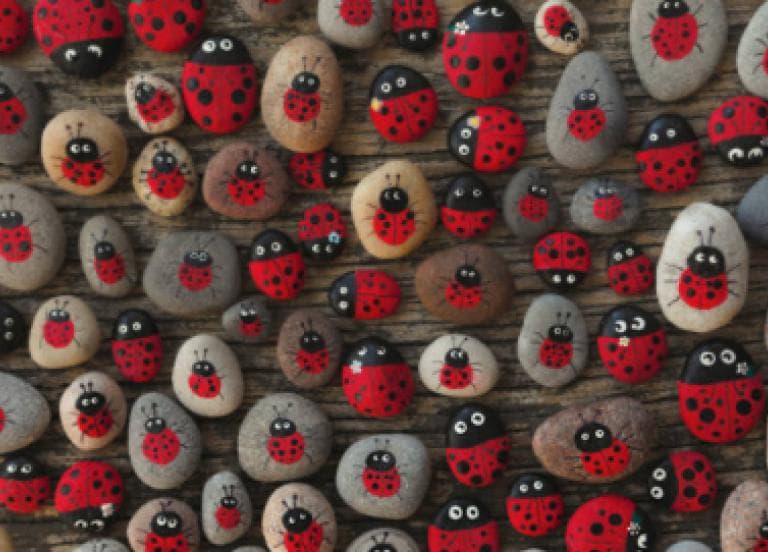 Image for event: NHMU Family Seasonal Science | Love Bugs!