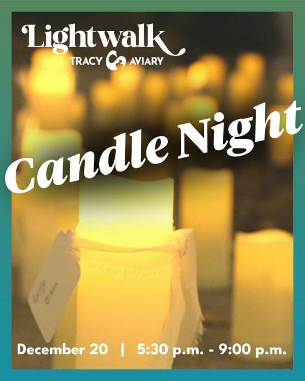 Lightwalk: Candle Night