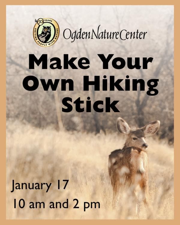 Make Your Own Hiking Stick