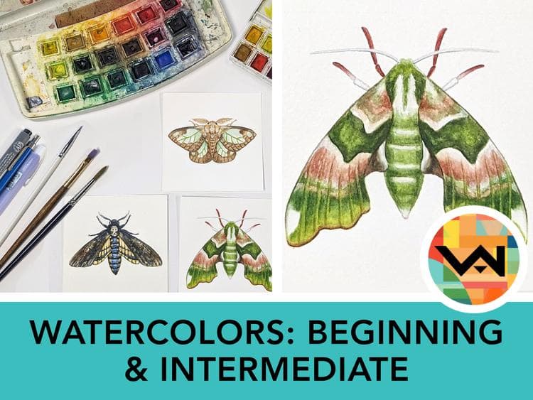 Image for event: Watercolors: Beginning & Intermediate