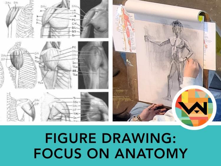 Figure Drawing: Focus on Anatomy