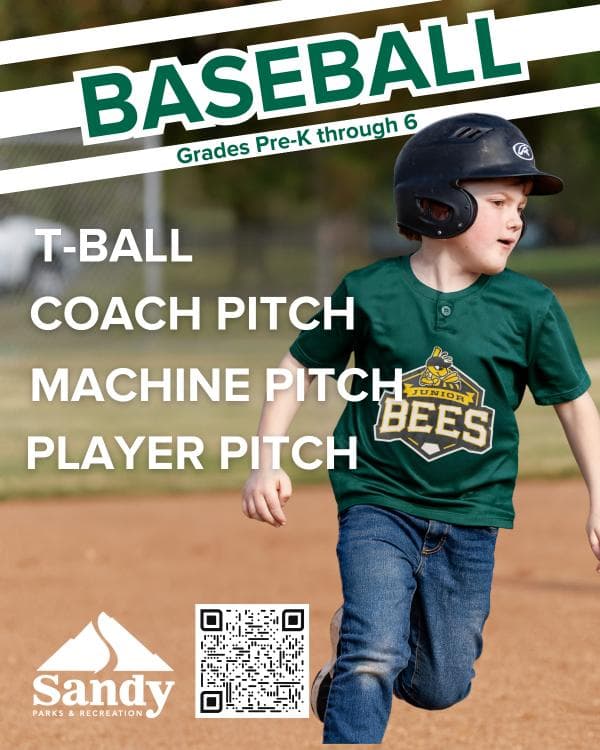 Junior Bees Spring Baseball