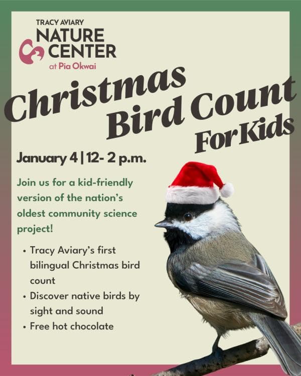 Christmas Bird Count For Kids / Conteo navideño de aves para niños