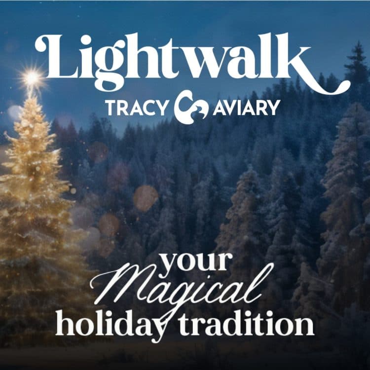 Lightwalk at Tracy Aviary