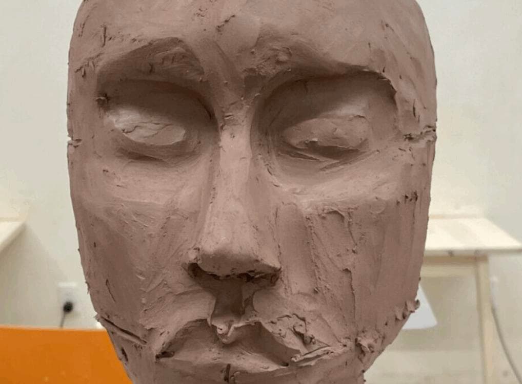 Sculpting the Face: Exploration and Observation