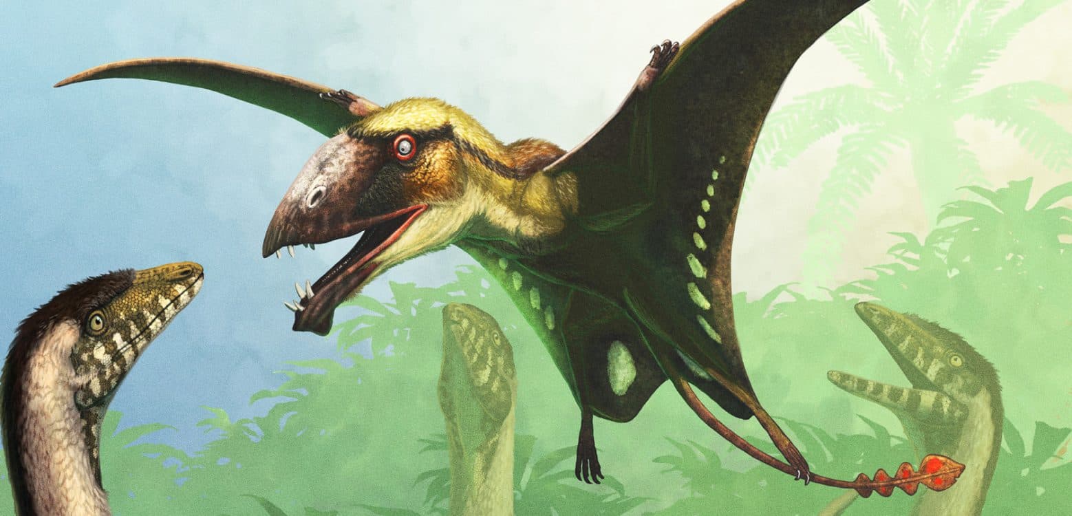 Image for event: 2026 DinoFest: Prehistoric Skies