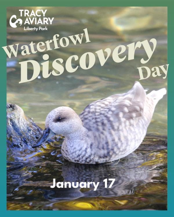 Waterfowl Discovery Day