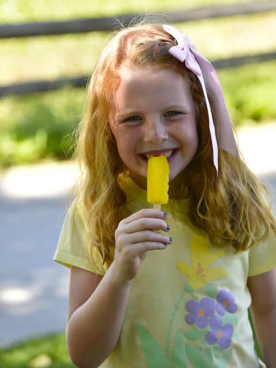 Huntsman Day at This Is The Place 2026