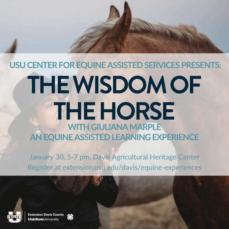 The Wisdom of the Horse