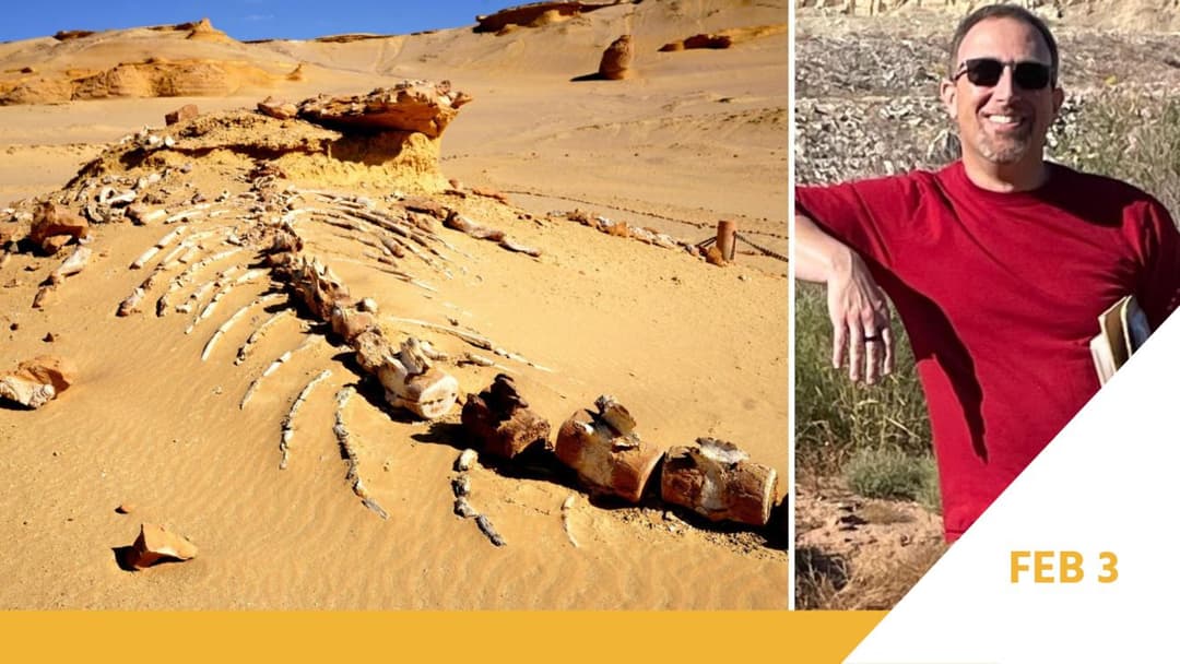 Voyager Lecture Series: Mass Extinctions