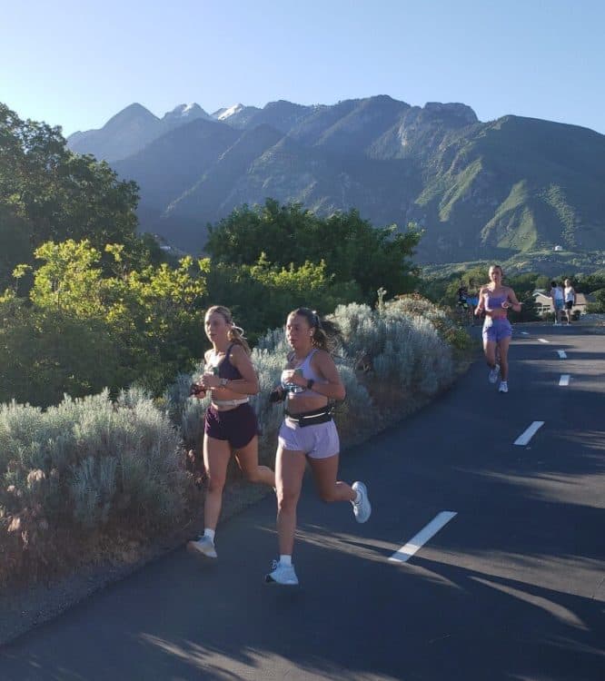Drop13 Big Cottonwood Canyon Half Marathon & 5K