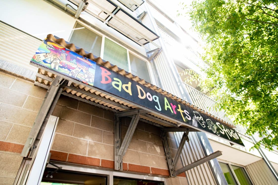 Image for event: Dino Land Summer Camp