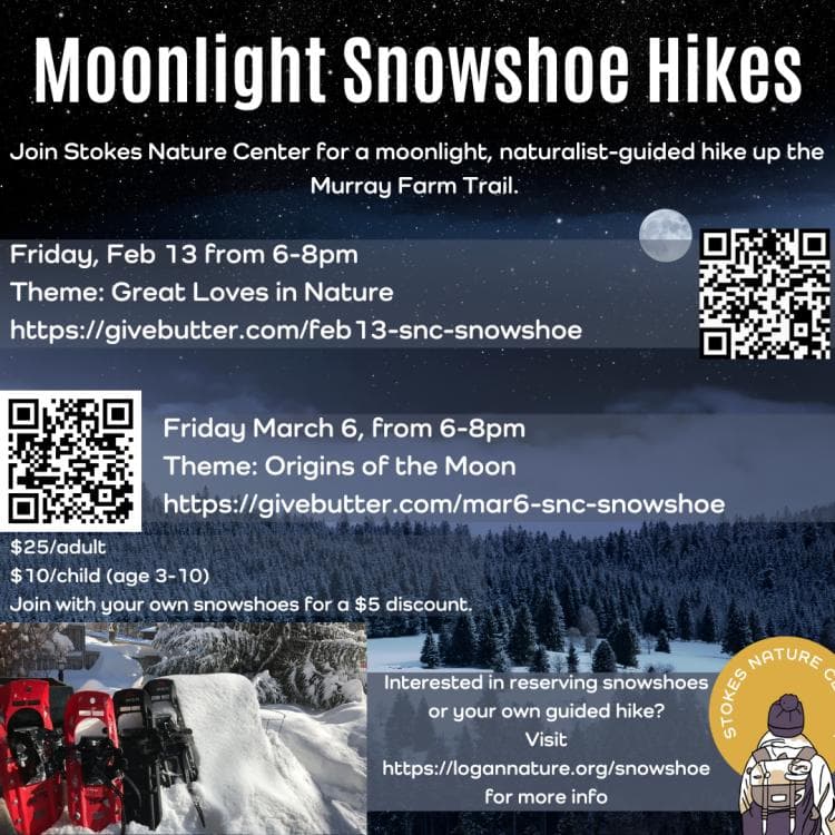 Moonlit Snowshoe