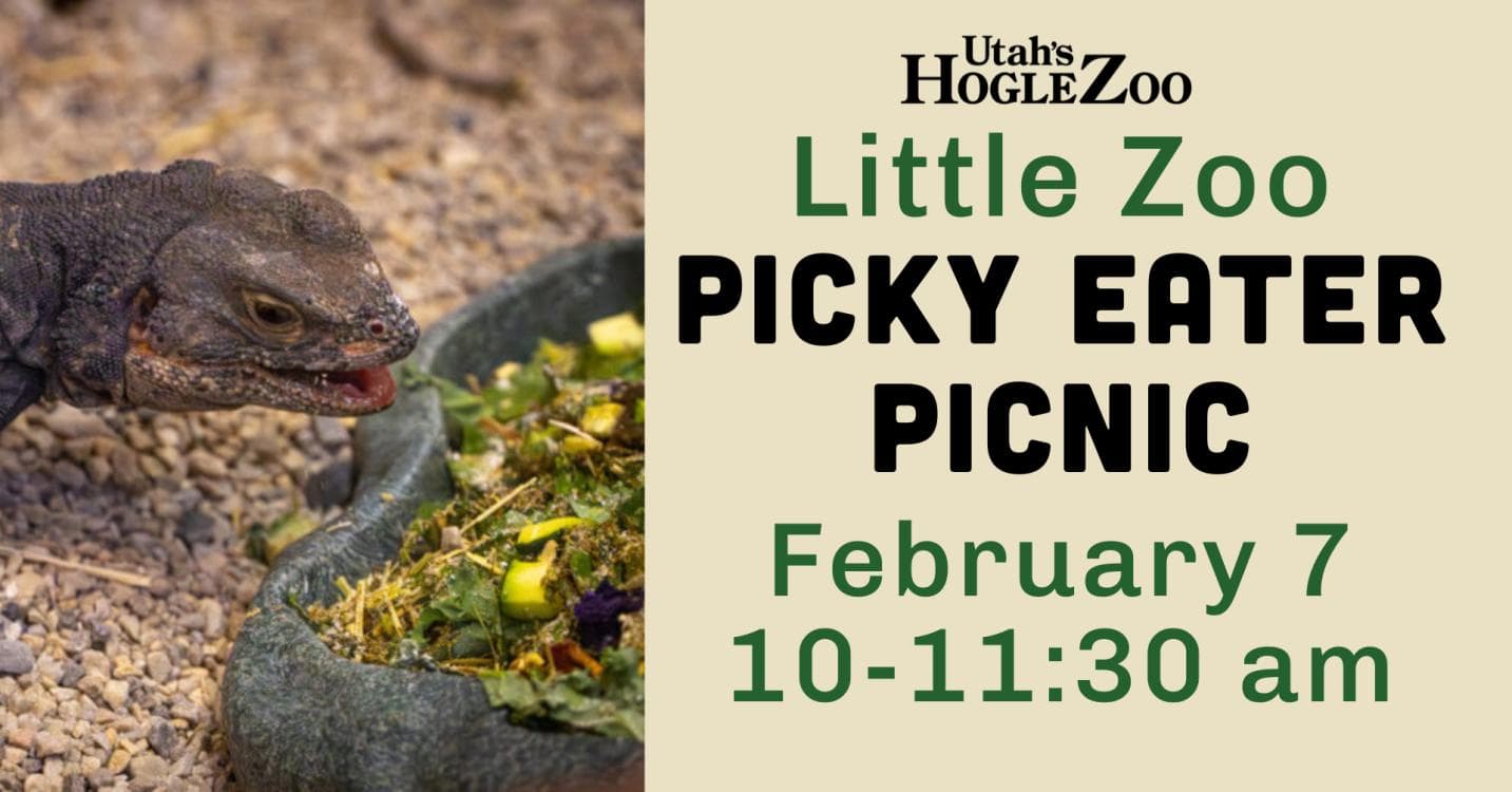 Image for event: Little Zoo: Picky Eater Picnic