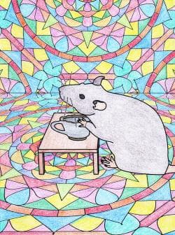 Image for event: Critters and Mandalas, by SummerDale Beckstrand