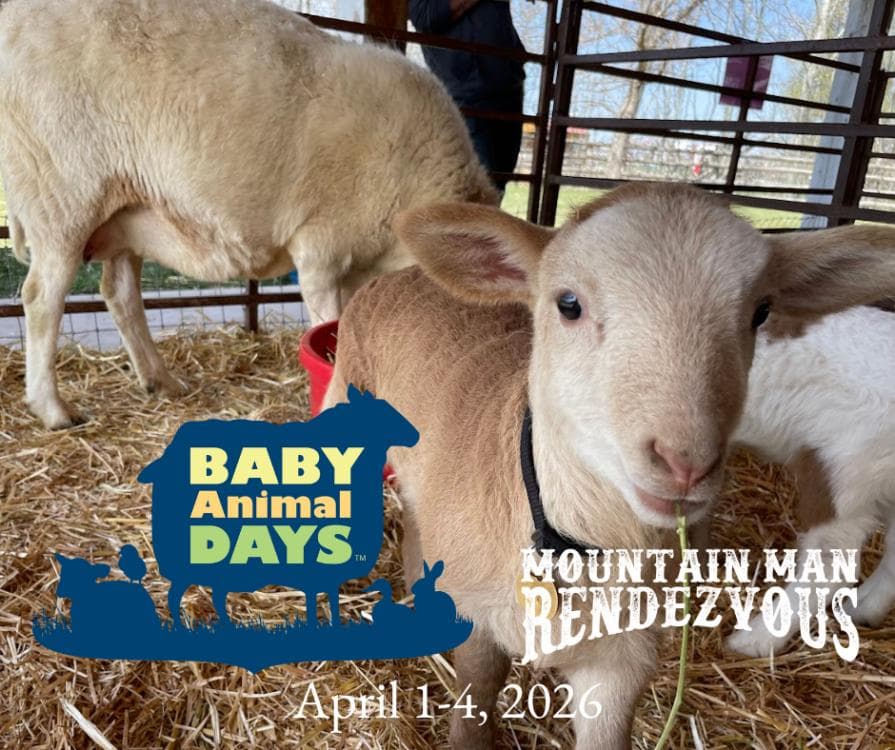 Image for event: 2026 Baby Animal Days