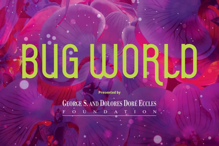 Image for event: Bug World Exhibit