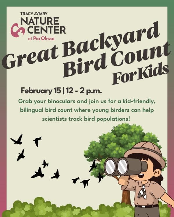 Great Backyard Bird Count for Kids