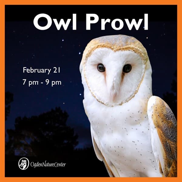 Image for event: Owl Prowl