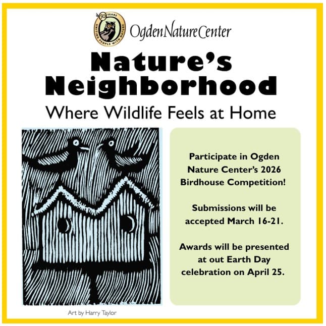 Image for event: Birdhouse Competition 2026