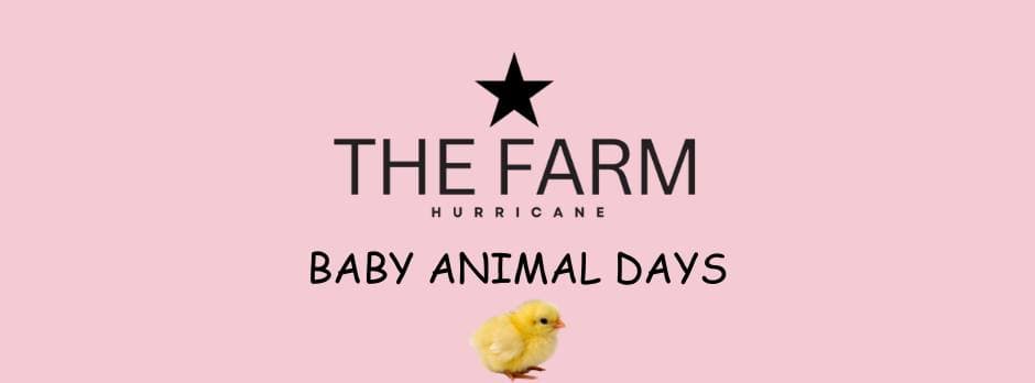 Baby Animal Days at The Farm